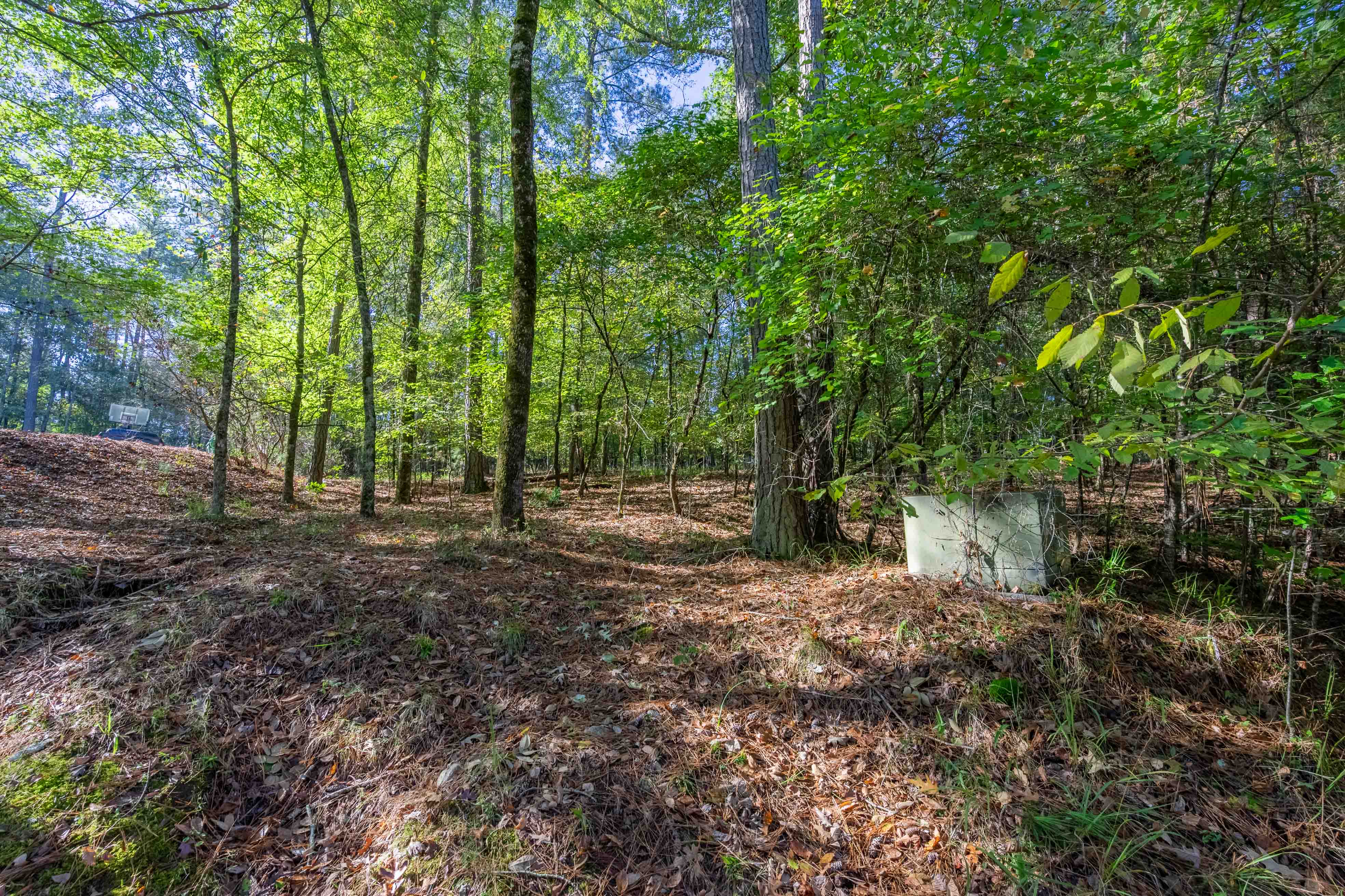 1030 Snug Harbor Court image 3